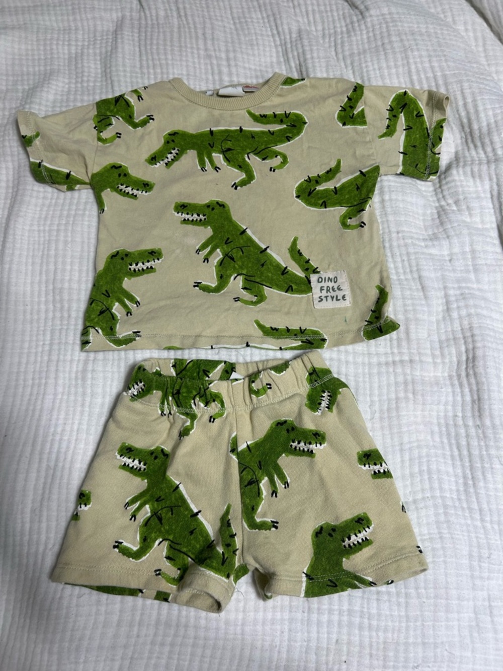 Zara Toddler Boy Dino Set